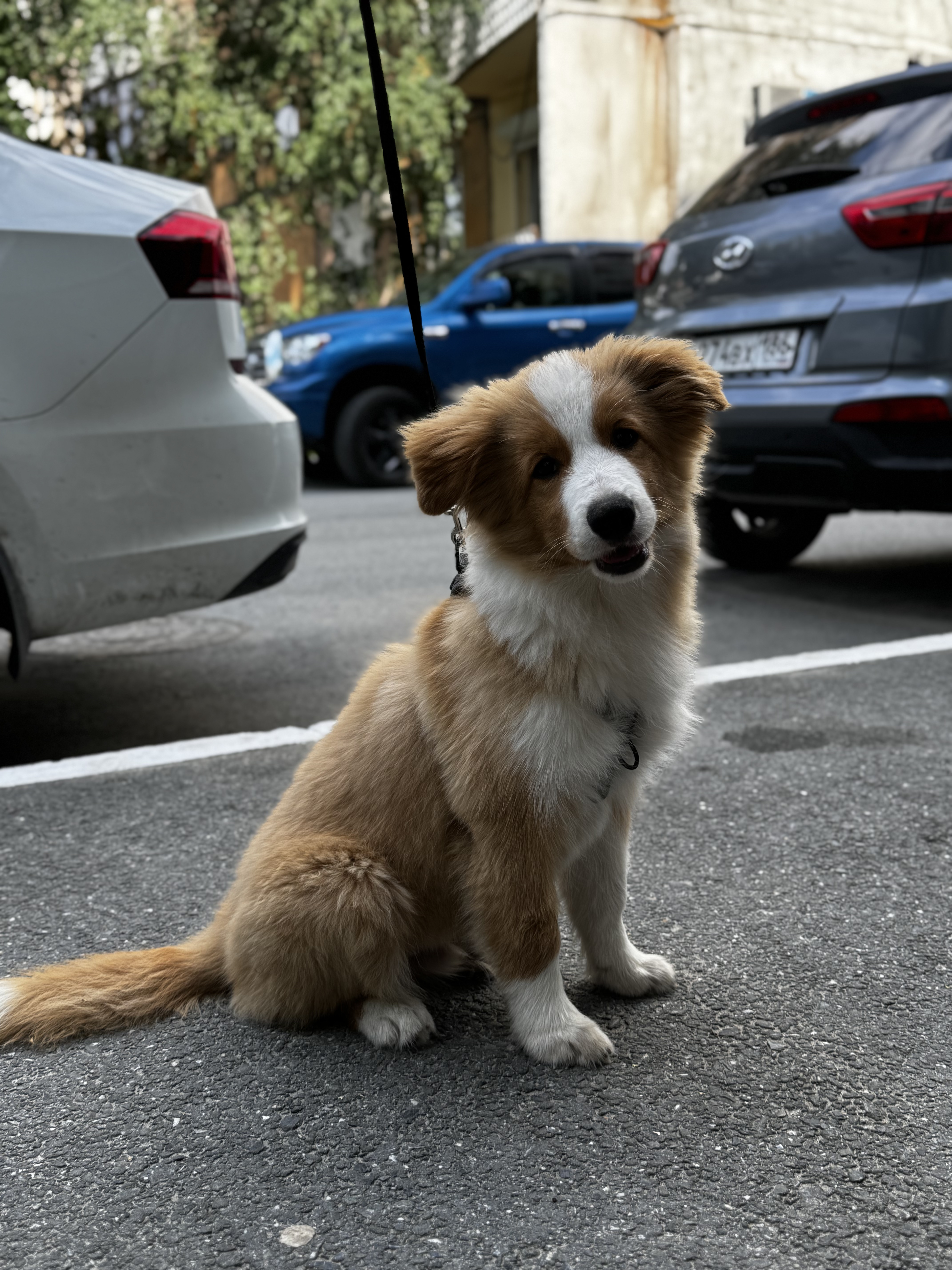 Наши клиенты